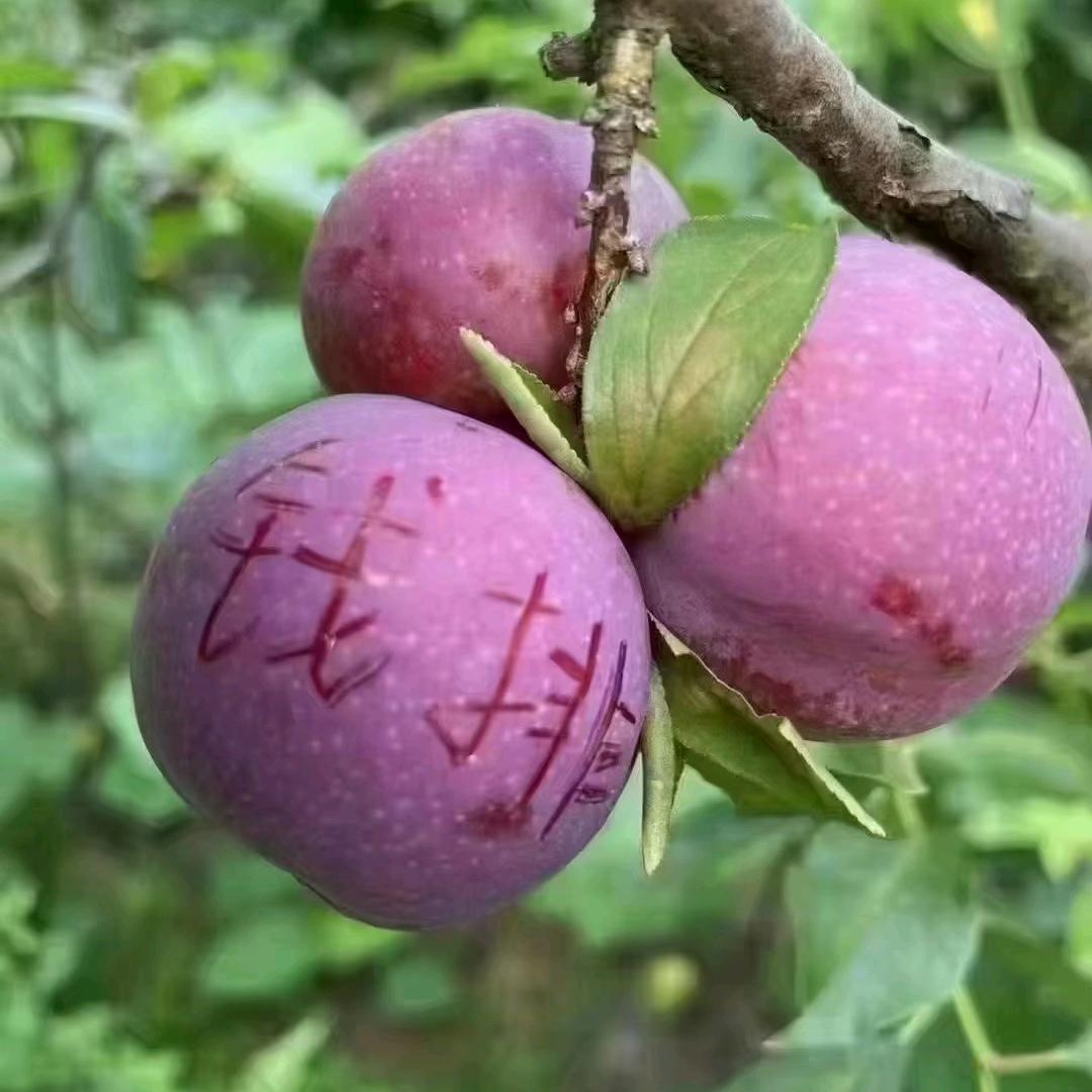 @伙@