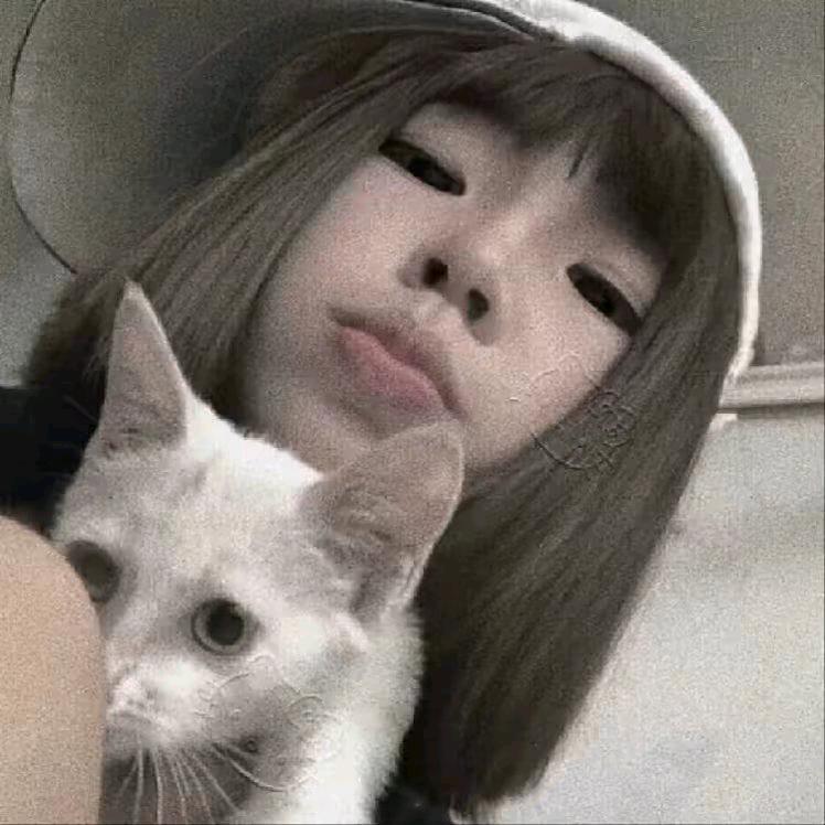烨子