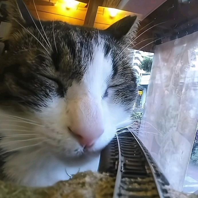 ⁺✞ʚ献给渴望改变的你✟ɞ₊