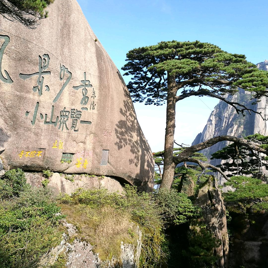 和唐阅色