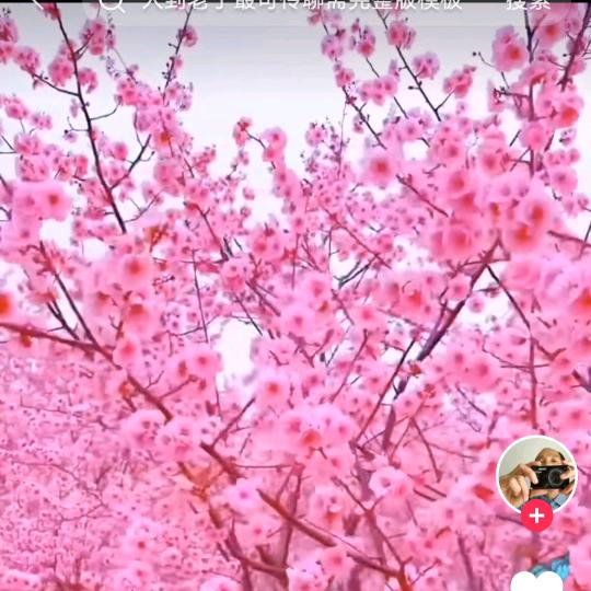 用户150917