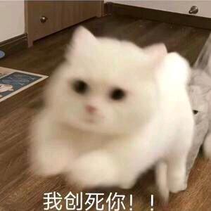 悦悦子