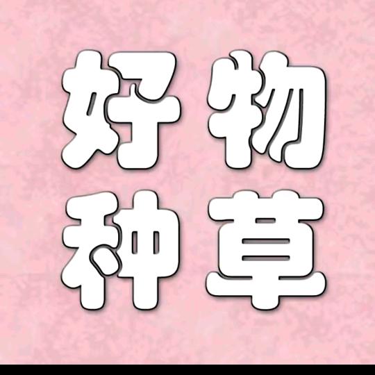 长安的荔枝