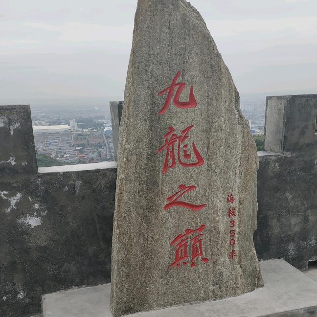 老太君  大