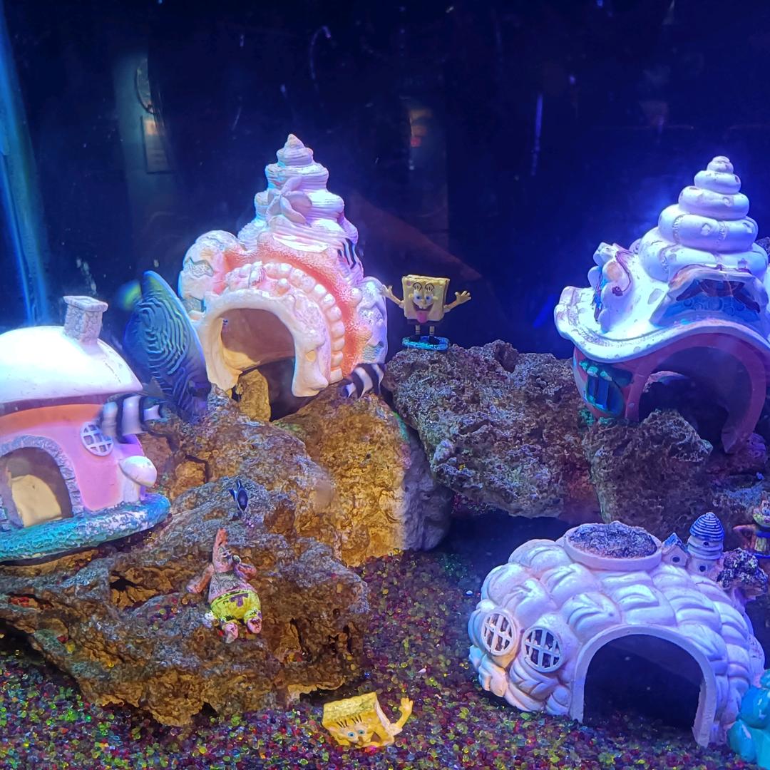 打小就笨😌😌