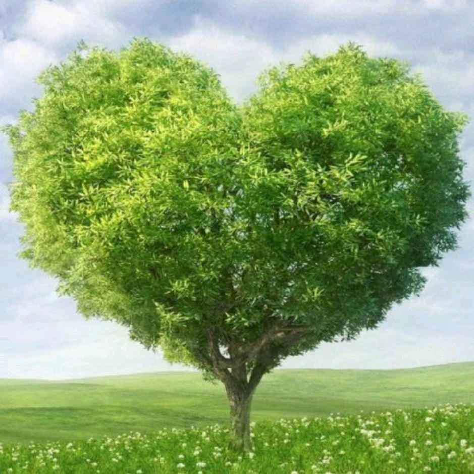 开心就好🇨🇳