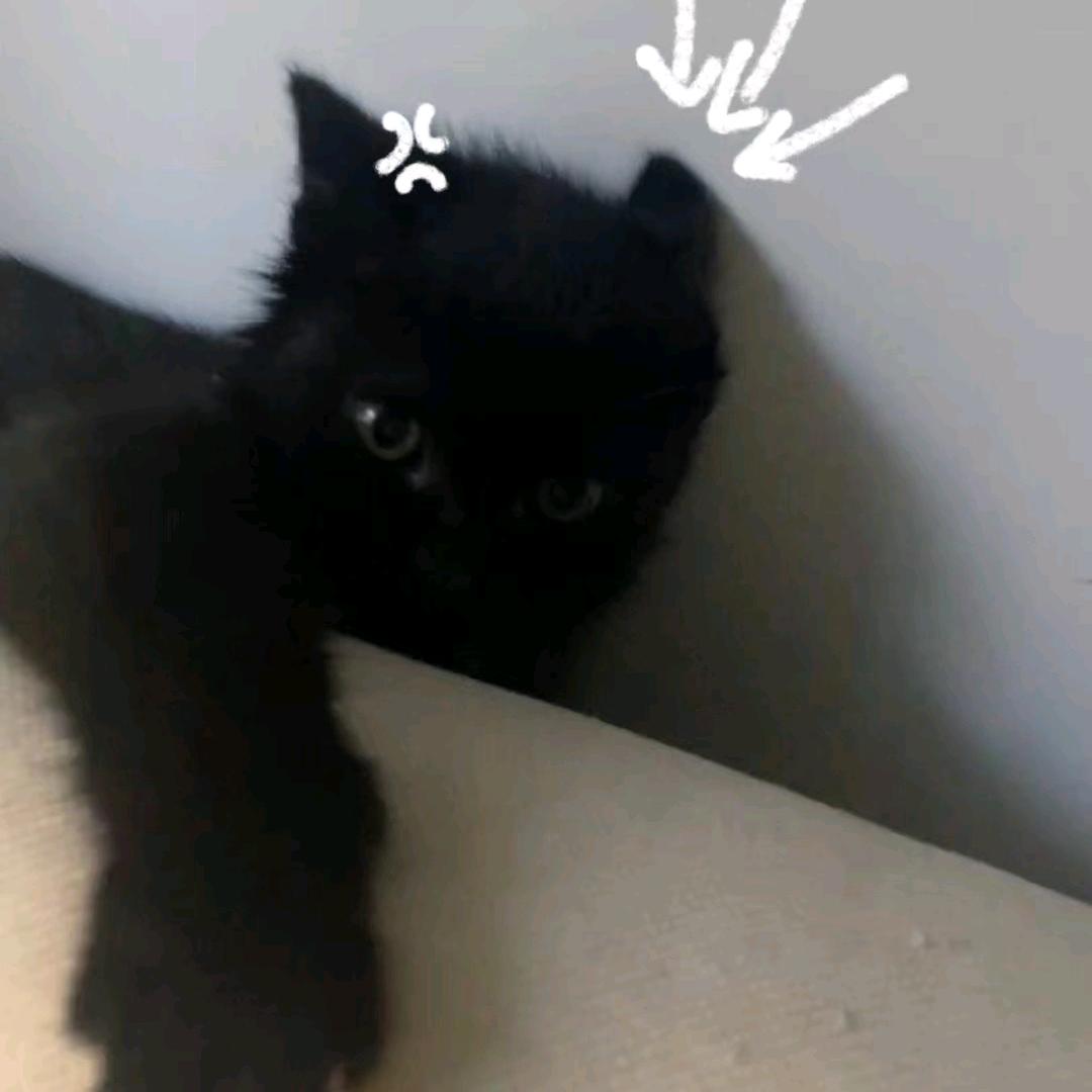 疯狂搞钱