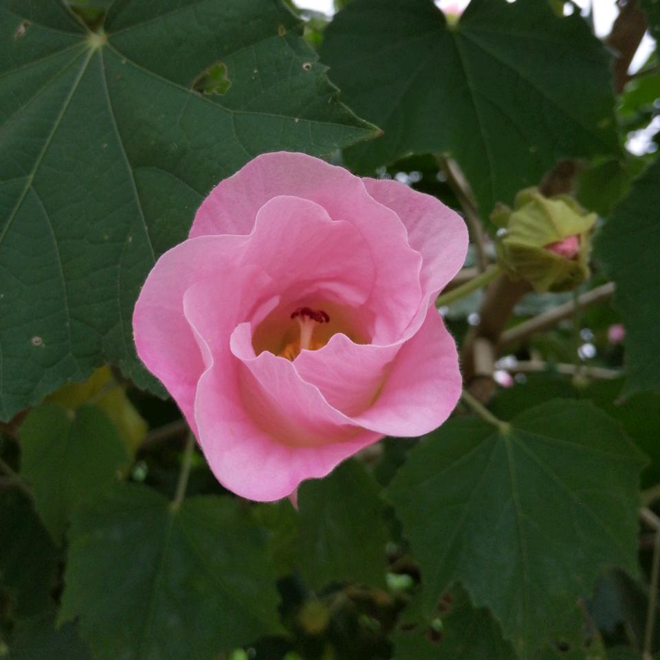 开心就好😊😊😊