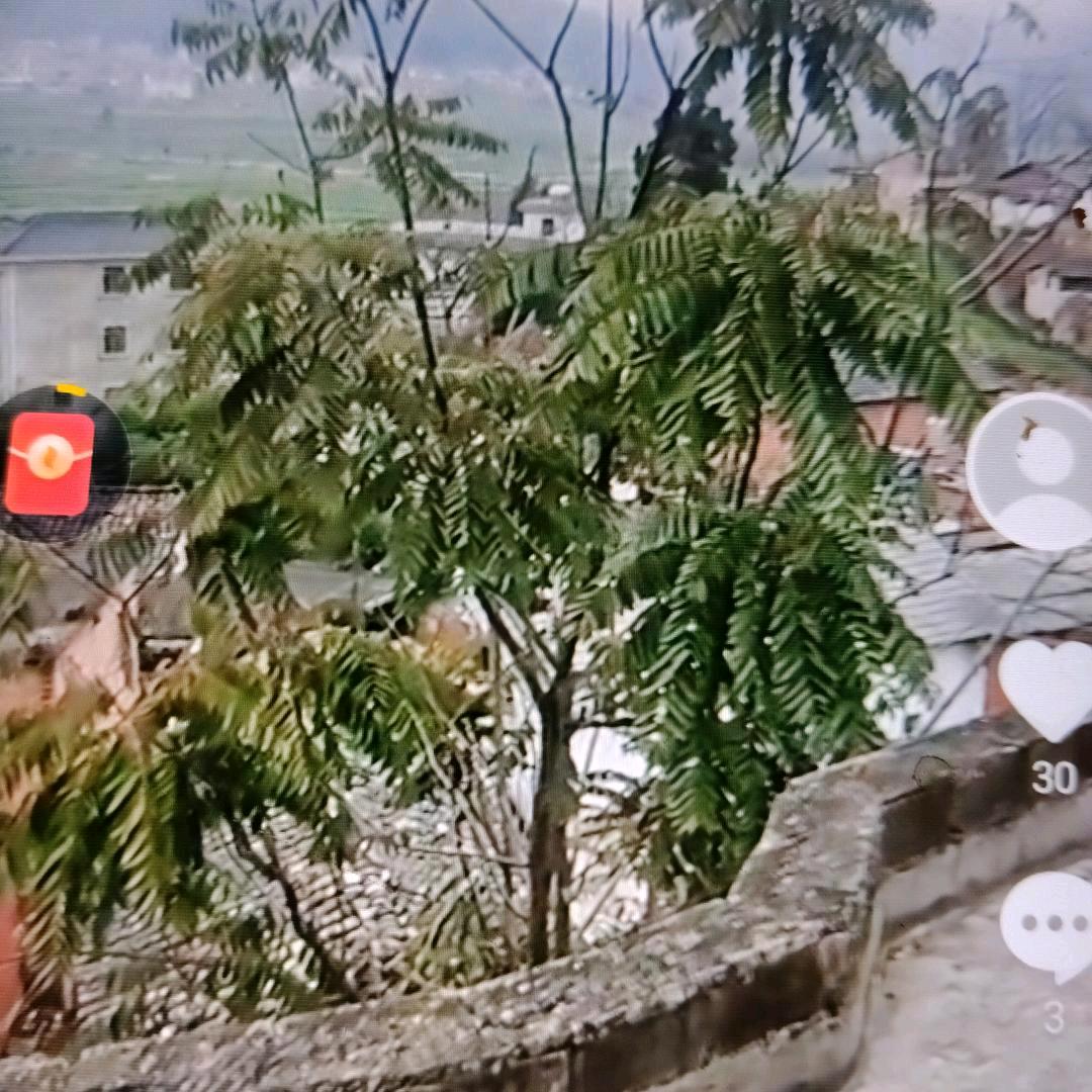用户9559134225524