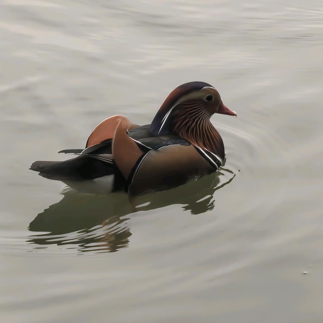 桥海