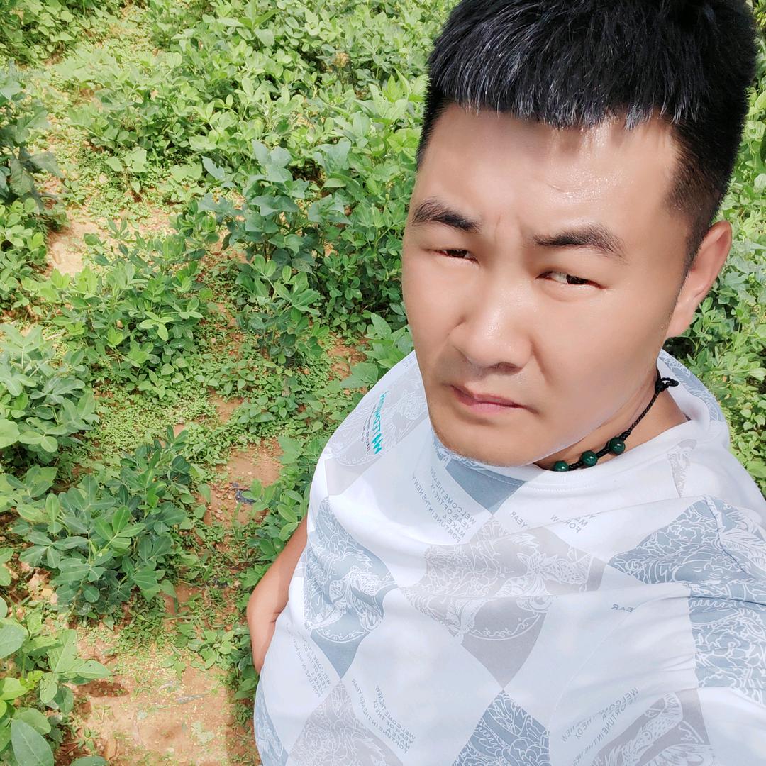 杨🗻帆🌈起🌅航