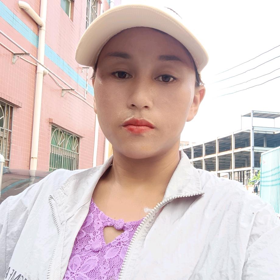 回京古树茶自产自销