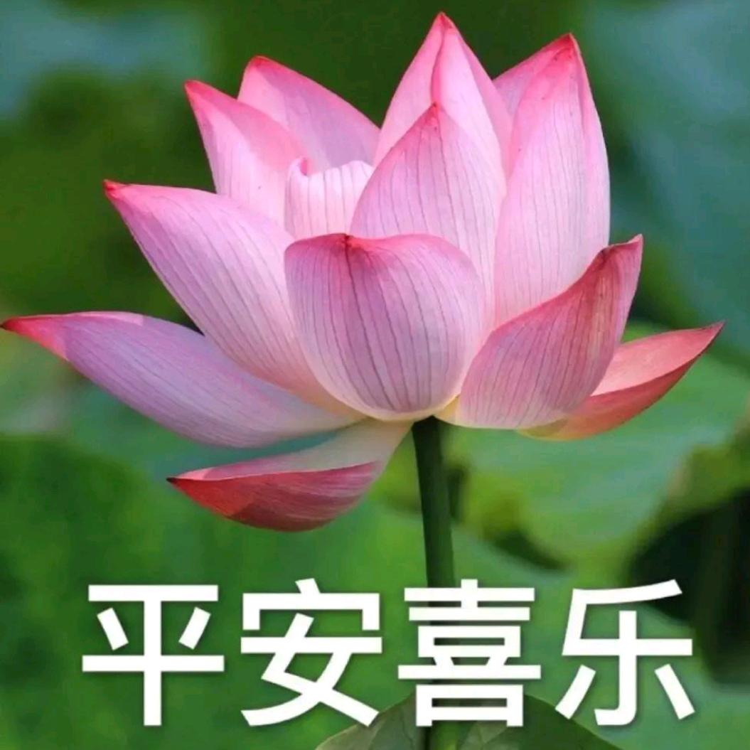 快乐人生、奶奶