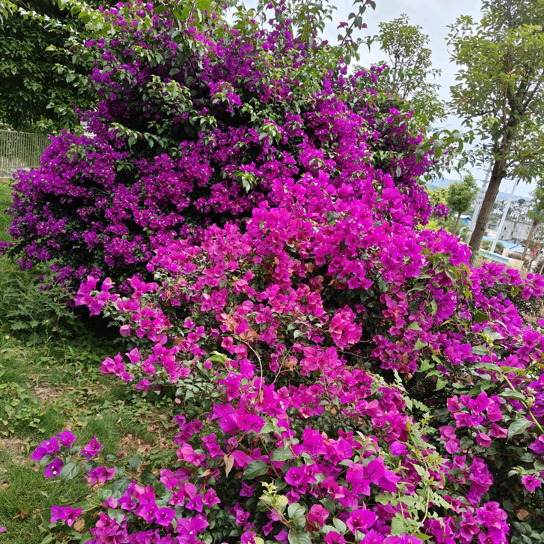 ꒰ ु-̣̣̣̣̣̥́௰ོ-̣̣̣̣̣̥