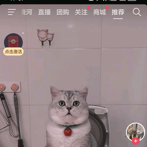 wangxinyanll