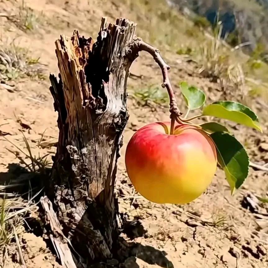 @☞♀何止是时间