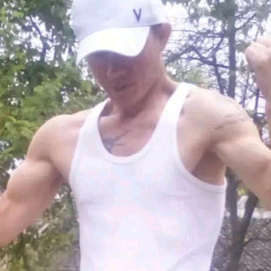 《风中的诺言》