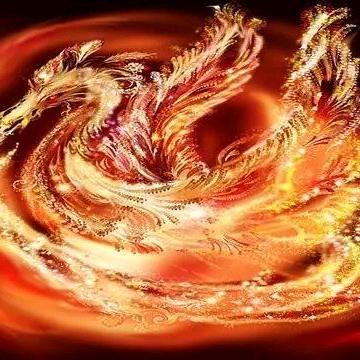 破茧重生