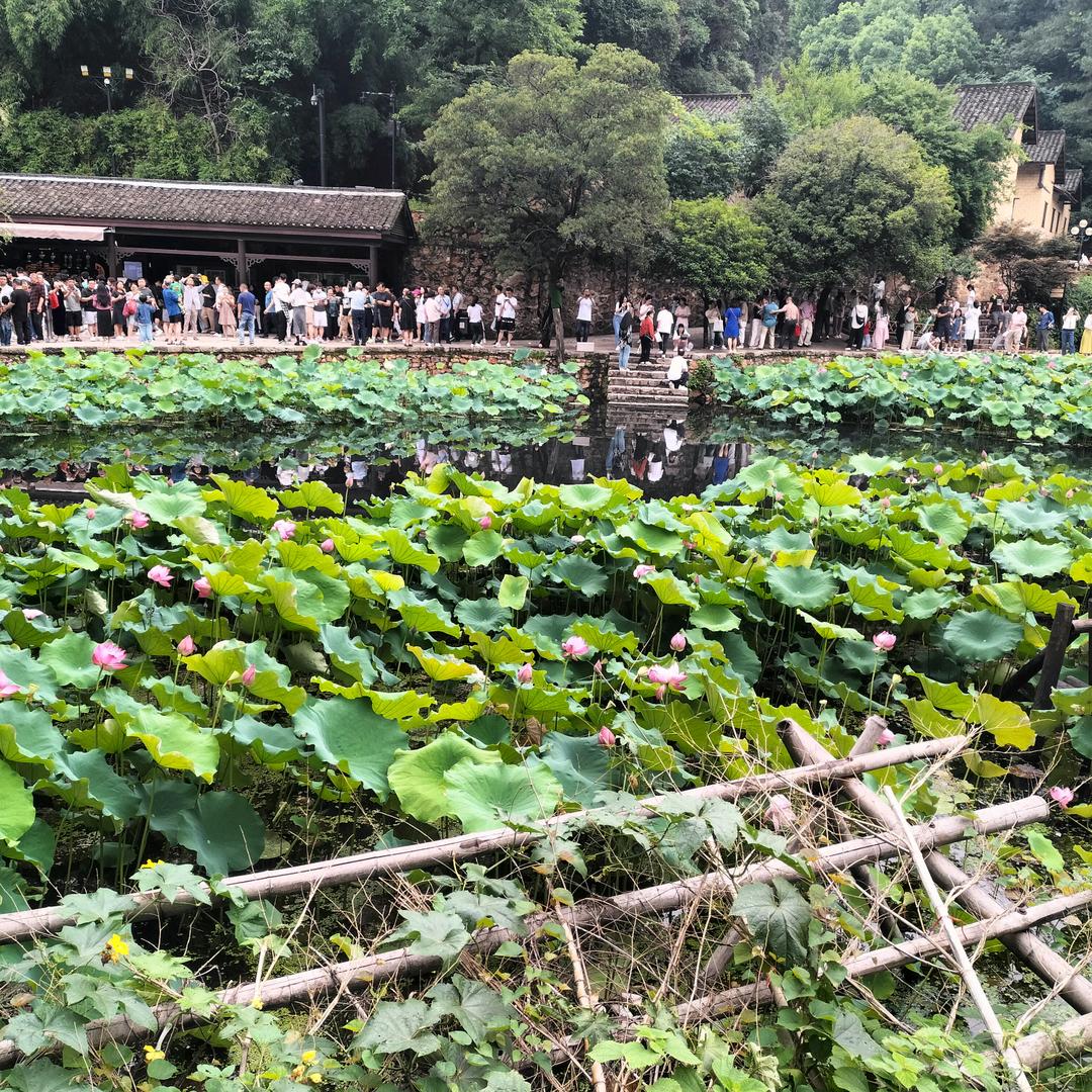 财景无限