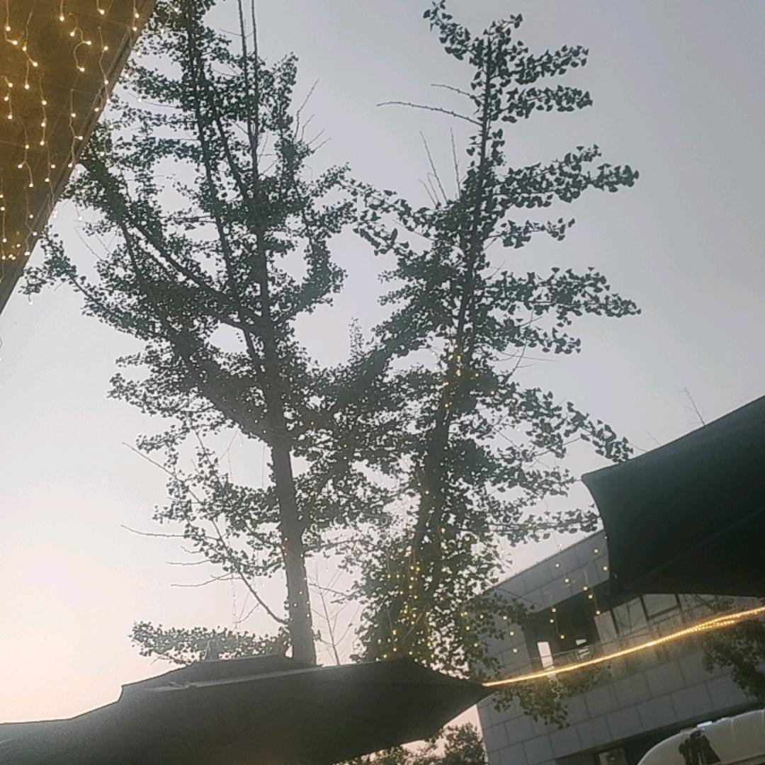 挥手告别昨天