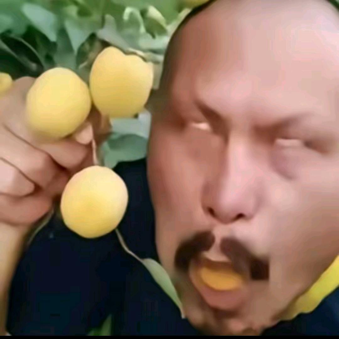 不必故作冷淡