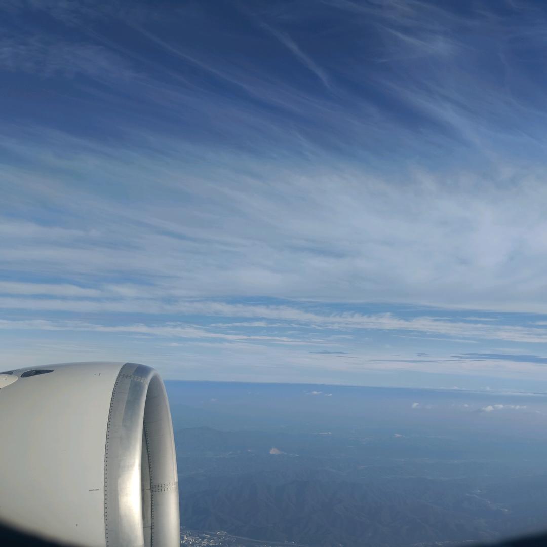 霞