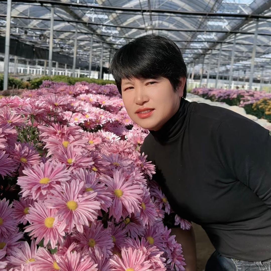 Fang 芳