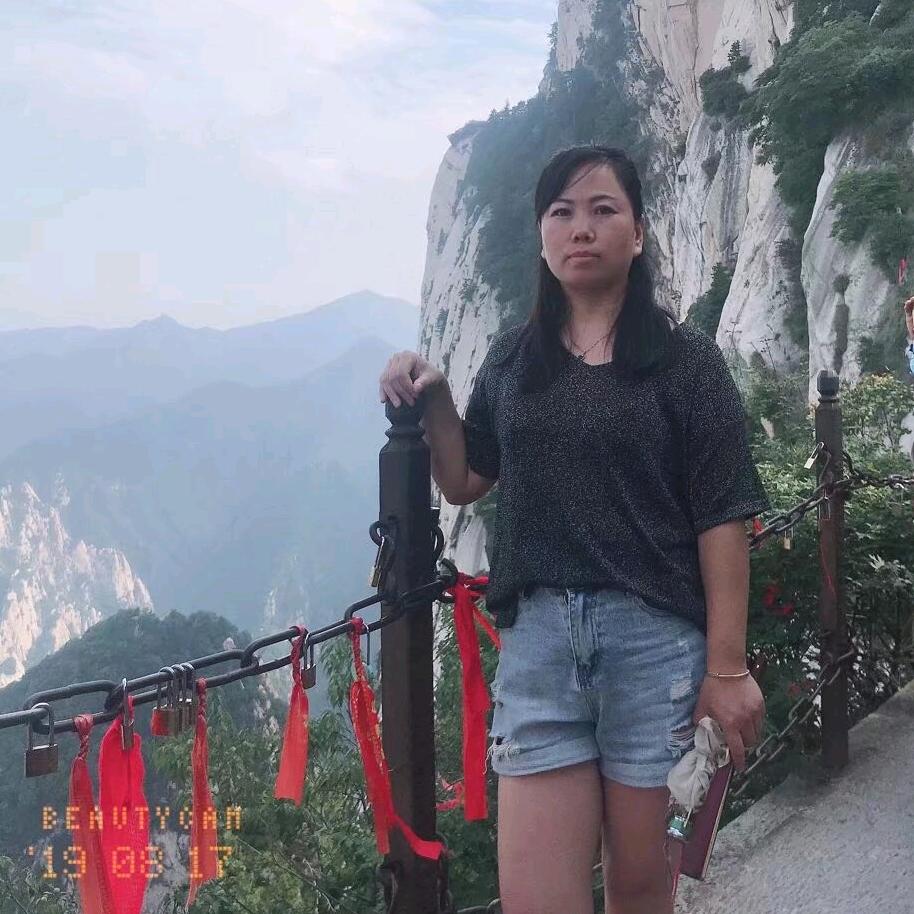 开封养蜂人