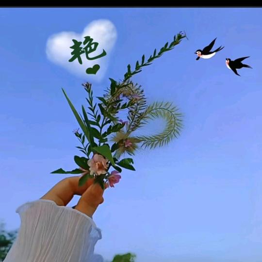 余生💞不将就
