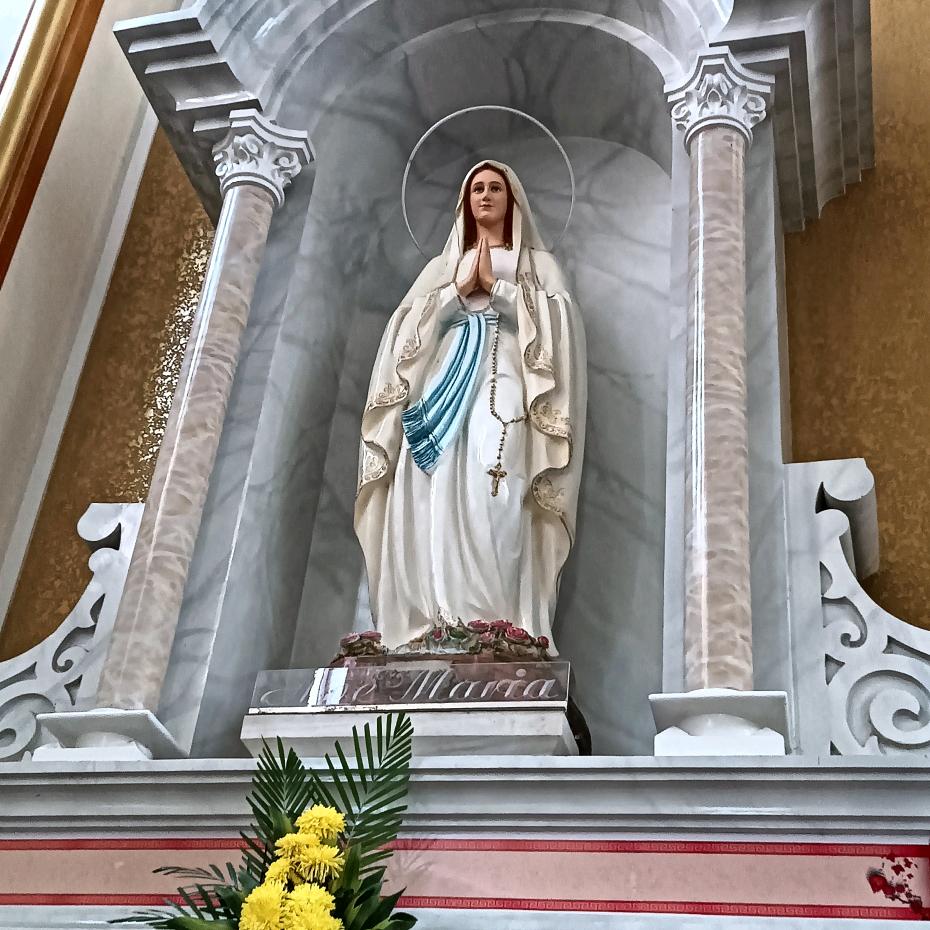 Đang học tiếng việt