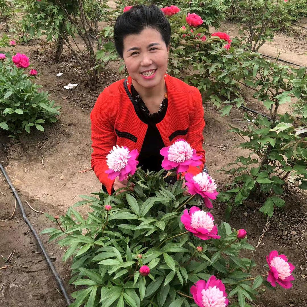 张娟子大姐专业卖家具