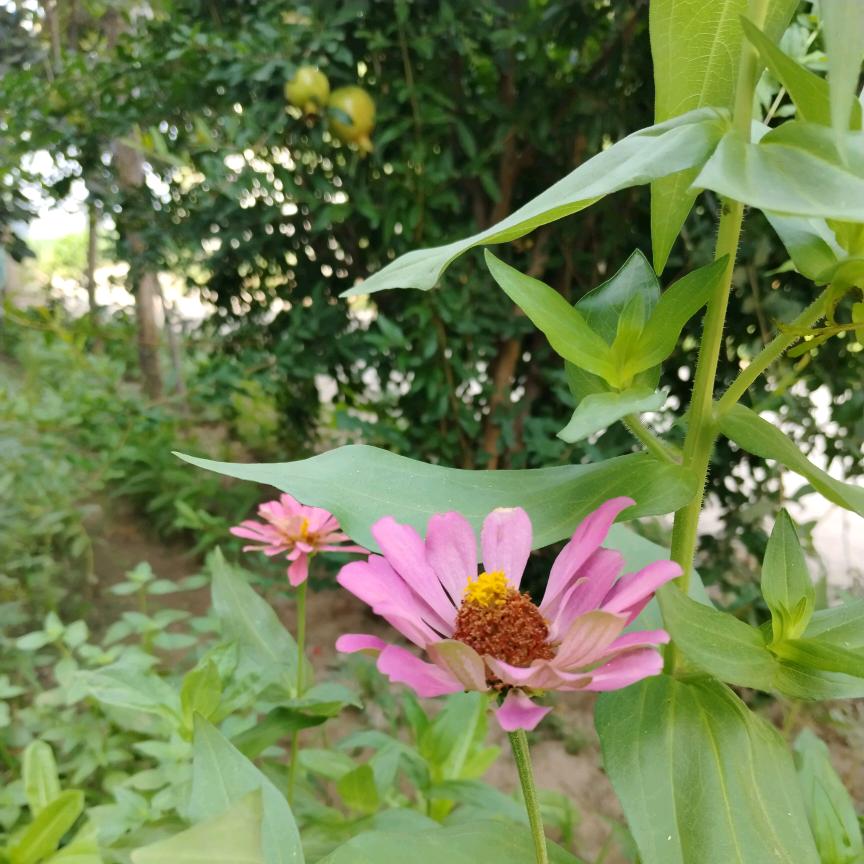 简单的小幸福
