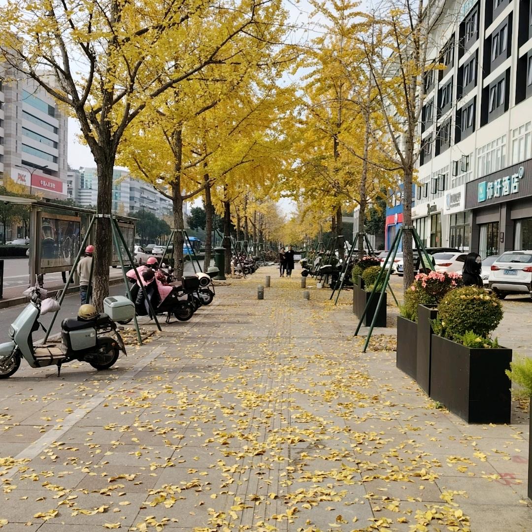 用户老实人向前