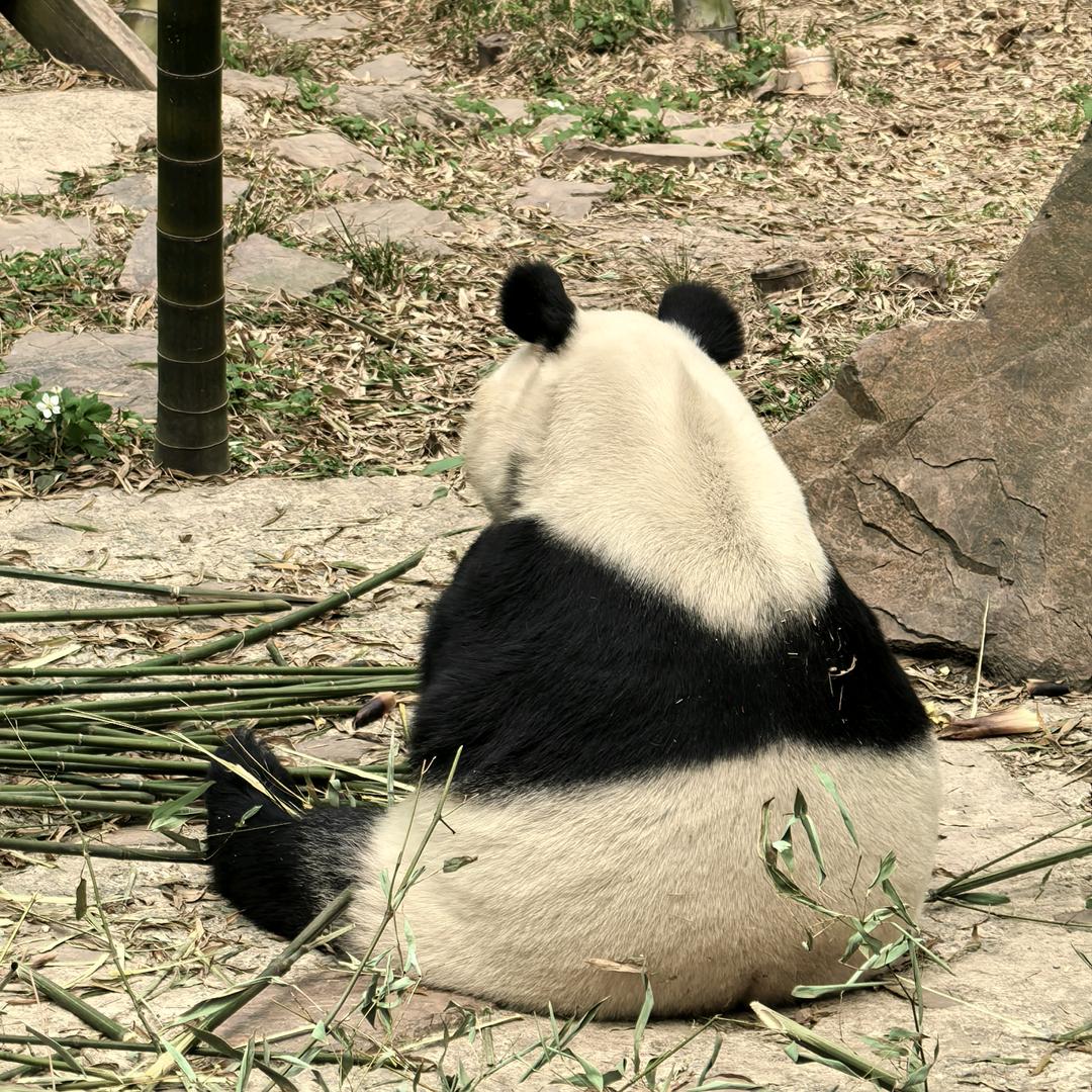 微波炉不微波