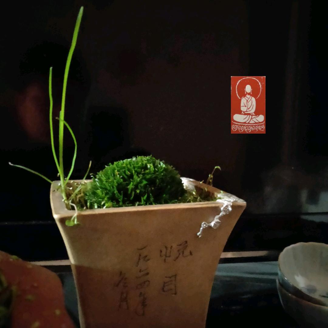 ༺依然故我🇨🇳