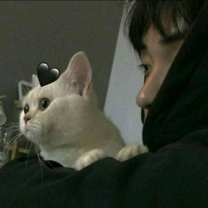 再不睡觉头发就掉光了