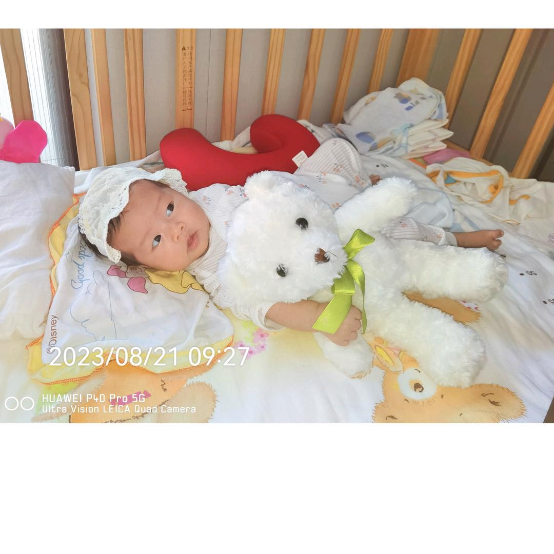 a飞雪漫漫菊独开