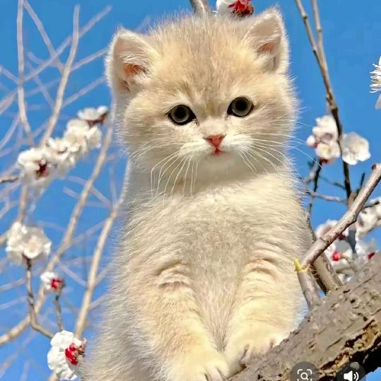 。。～～