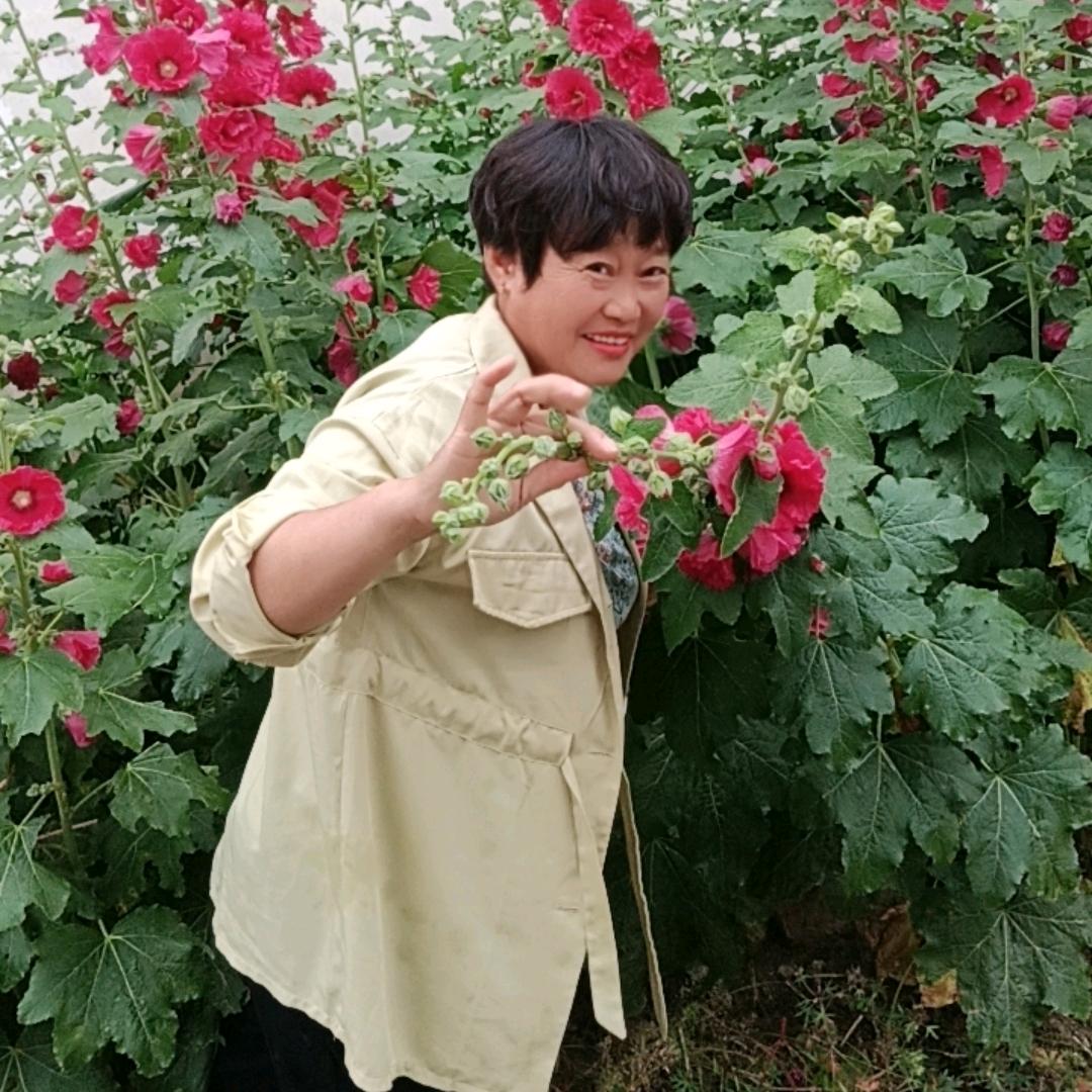杨影