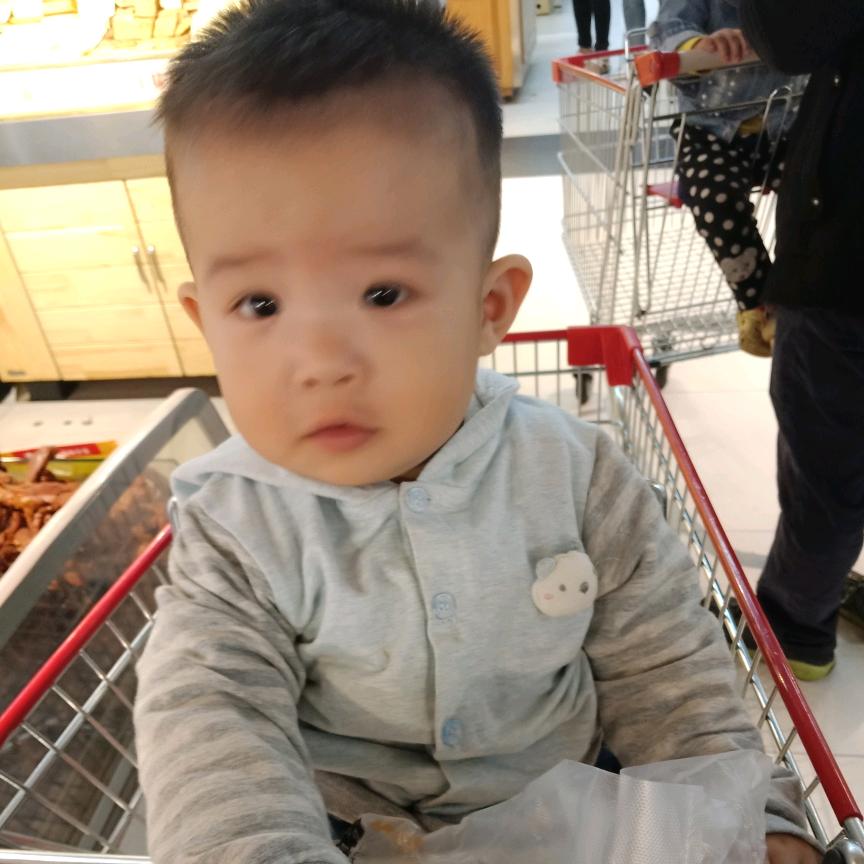 东北虎