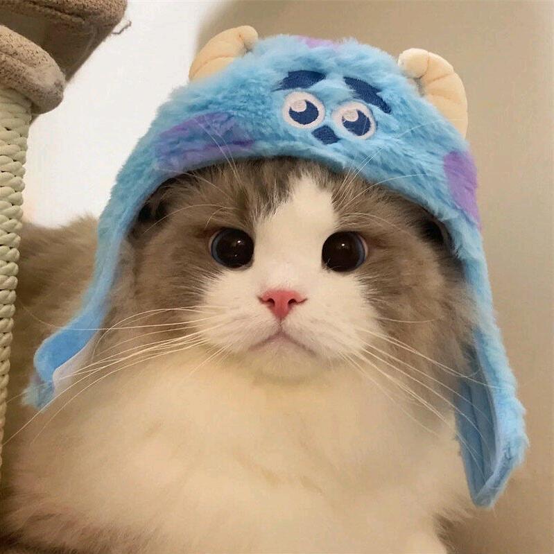 是在在吖.