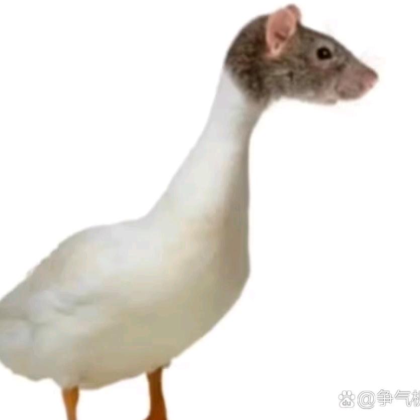 书和文和民工
