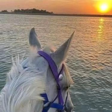 黑豹小马驿站   小吴