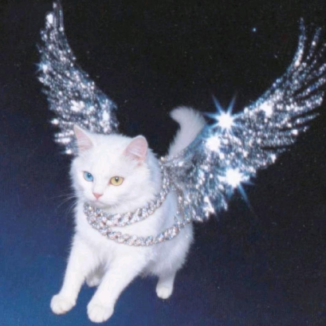 运气爆棚的天才