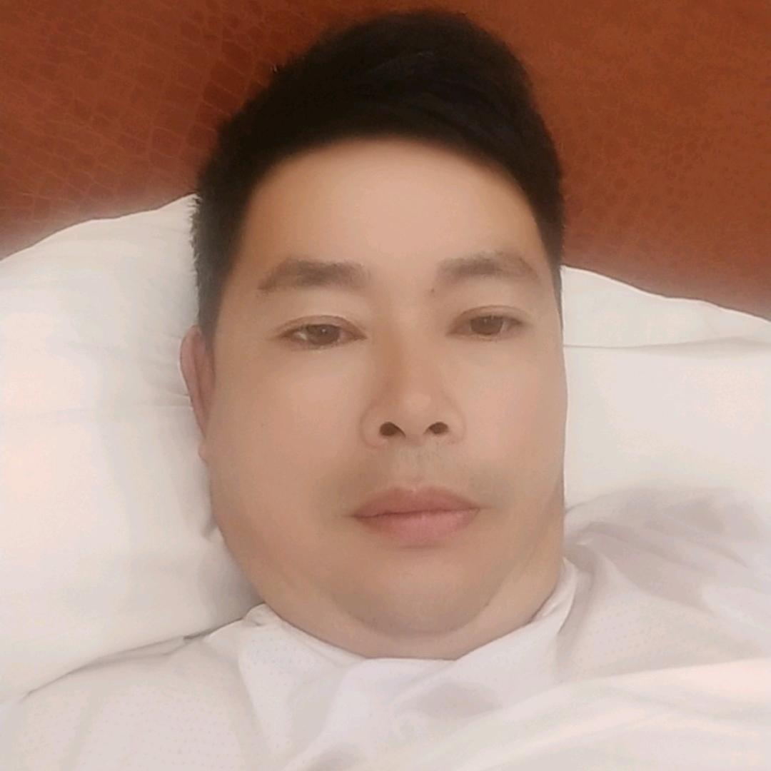 洪哥金蛋子盆栽