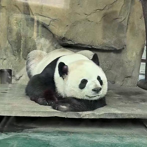 男人至死是少年