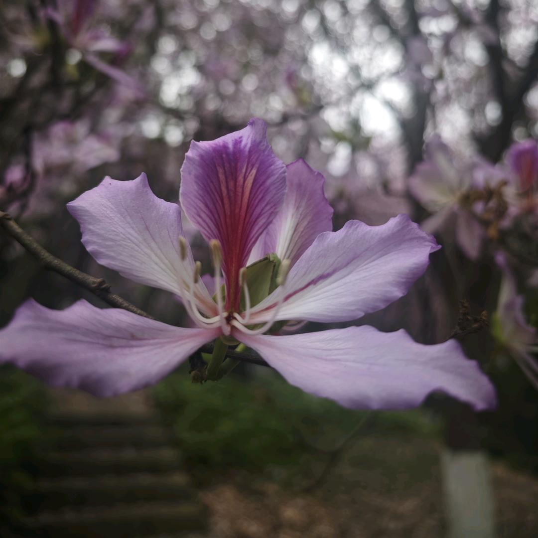 丹八桂汇佳便利店守店日常