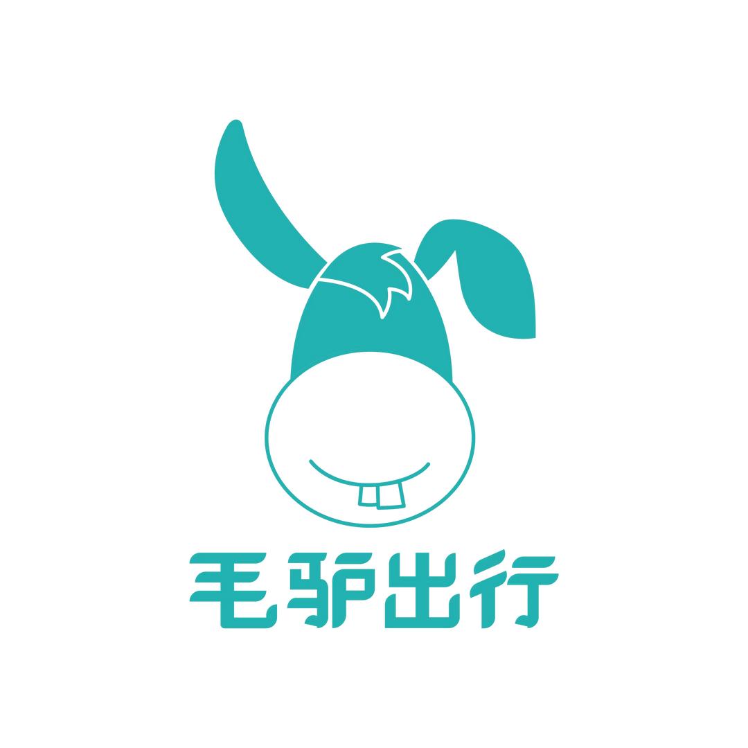 毛驴出行