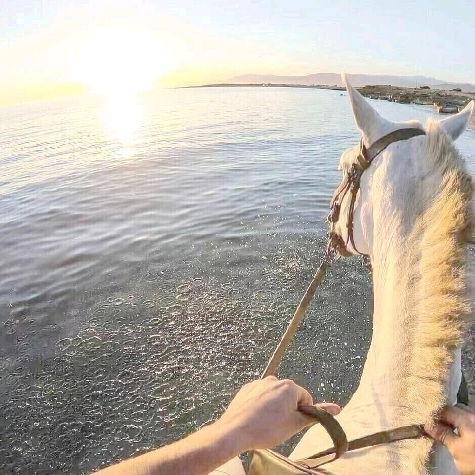 Freedom   .