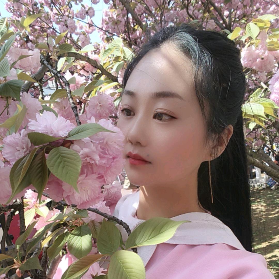 小菊